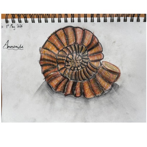 By Grace, aged 11 